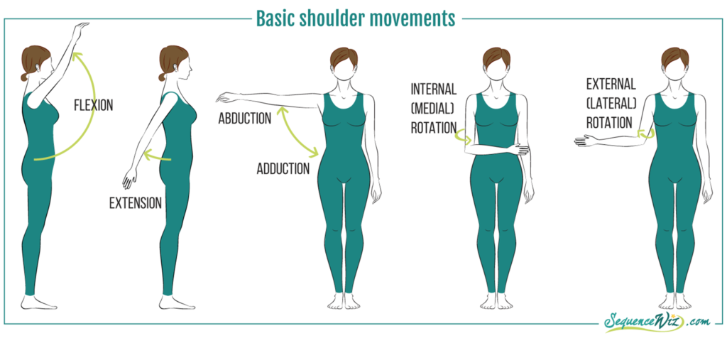 Shoulder Motions